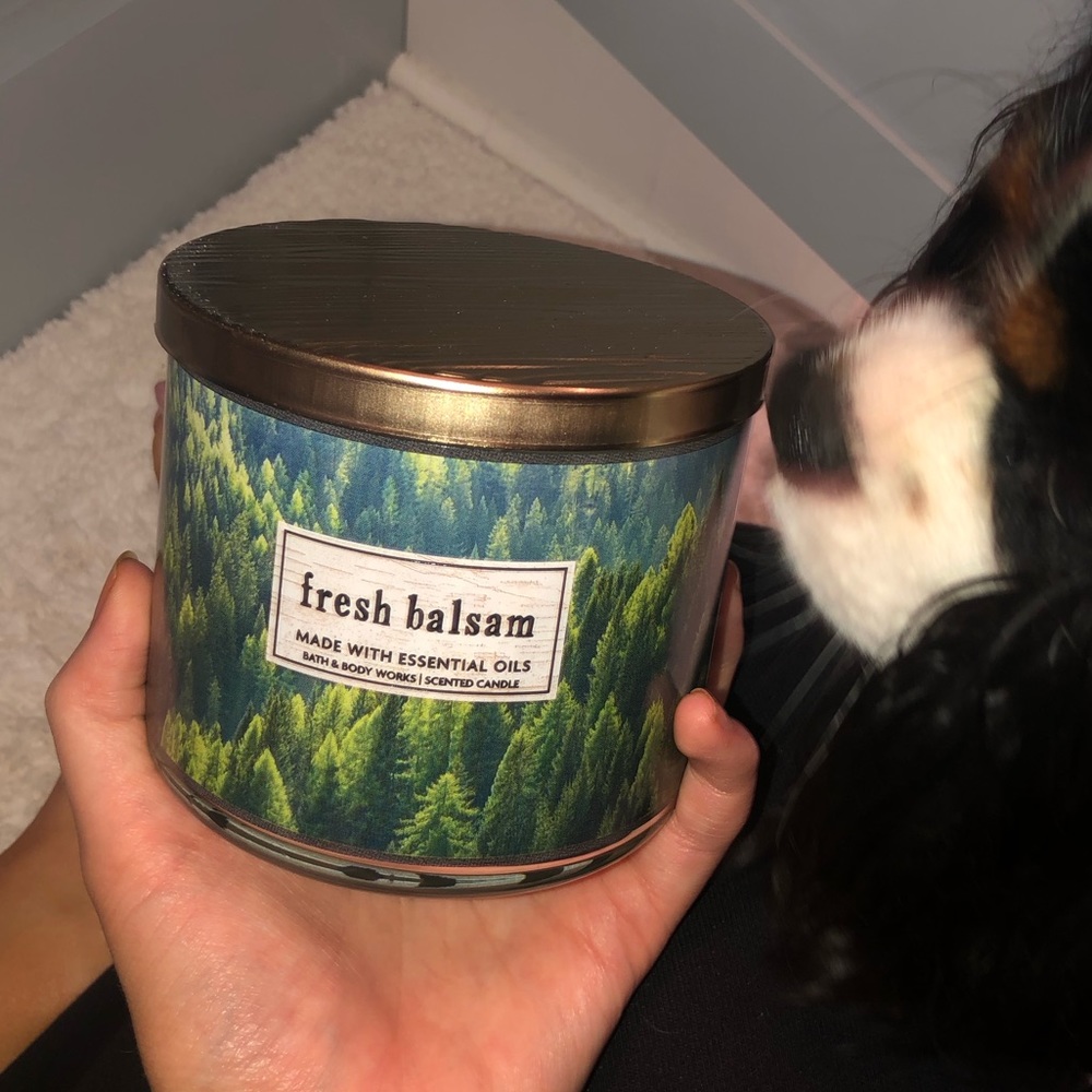 Bath & Body Works fresh balsam candle !!! 🌲❤️